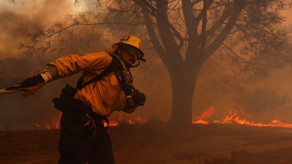 2025 California wildfires, hollywood hills fire, Pacific palisades